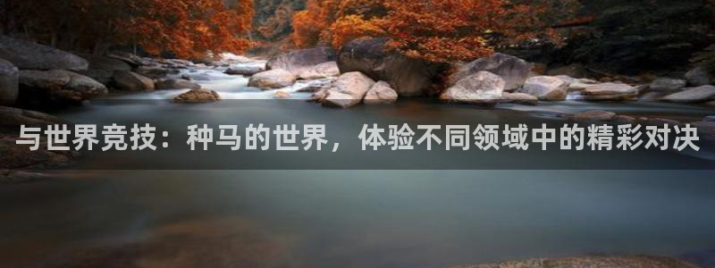 三亿体育网：与世界竞技：种马的世界，体验不同领域中的精彩对决