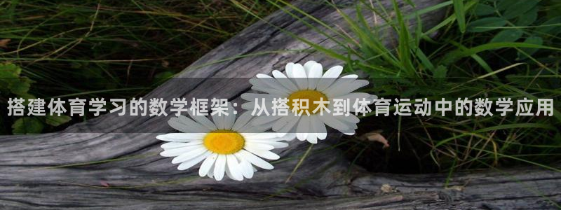 三亿体育登录：搭建体育学习的数学框架：从搭积木到体育运动中的数学应用