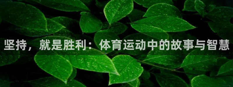 三亿体育网页版：坚持，就是胜利：体育运动中的故事与智慧