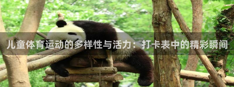 三亿体育：儿童体育运动的多样性与活力：打卡表中的精彩瞬间