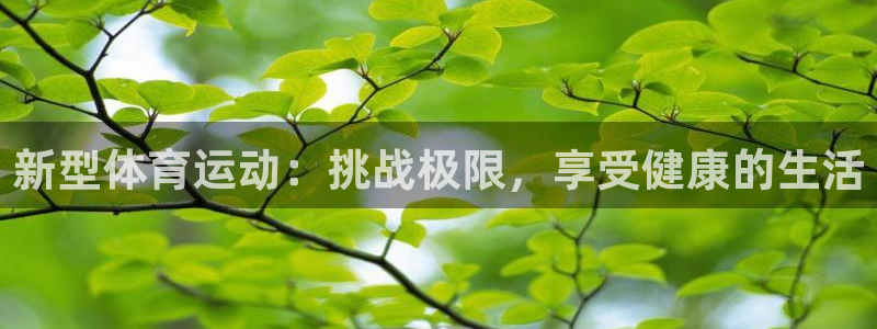 三亿体育登录：新型体育运动：挑战极限，享受健康的生活