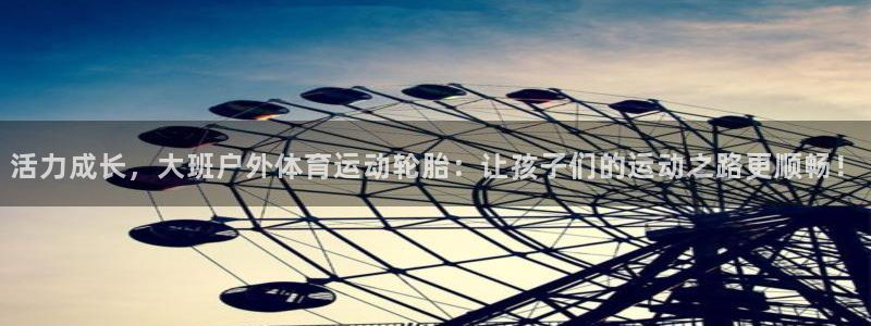 三亿体育登录：活力成长，大班户外体育运动轮胎：让孩子们的运动之路更顺畅！