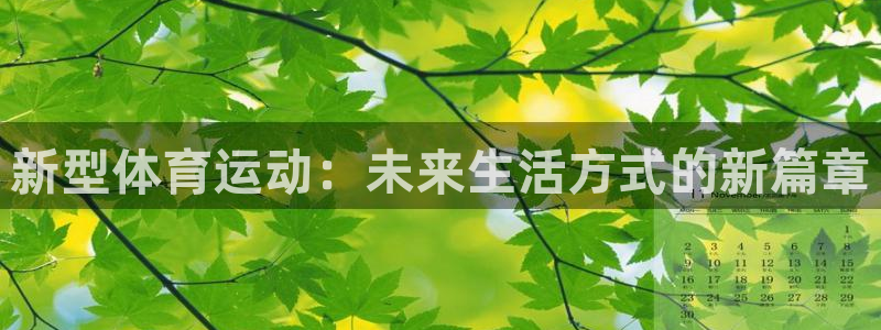 三亿体育网页版
