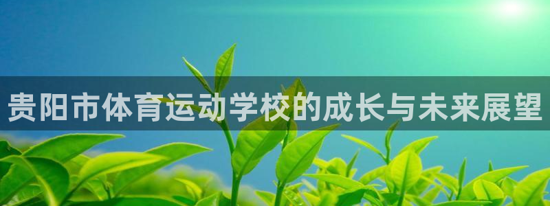 三亿体育网页版