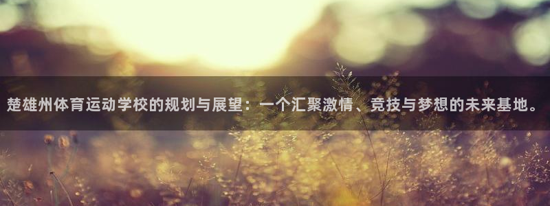 三亿体育登录