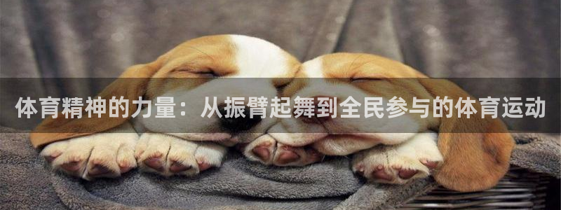 三亿体育网页版：体育精神的力量：从振臂起舞到全民参与的体育运动