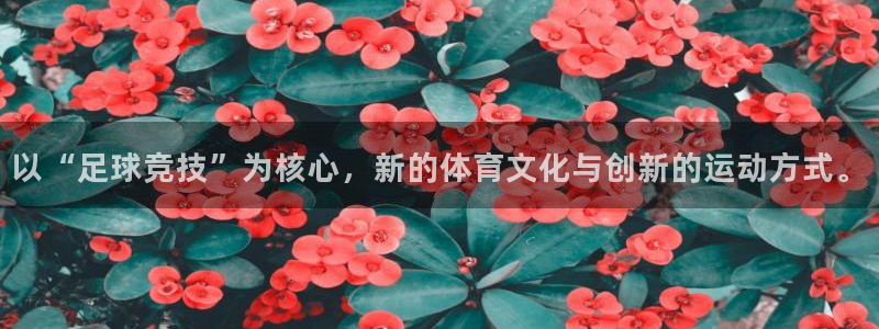 三亿体育网：以“足球竞技”为核心，新的体育文化与创新的运动方式。