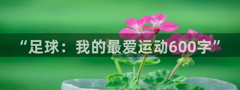 三亿体育：“足球：我的最爱运动600字”