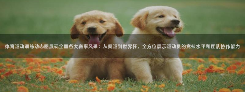 三亿体育网页版：体育运动训练动态图展现全国各大赛事风采：从奥运到世界杯，全方位展示运动员的竞技水平和团队协作能力