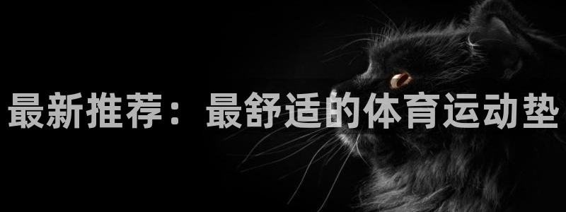 三亿体育网页版：最新推荐：最舒适的体育运动垫
